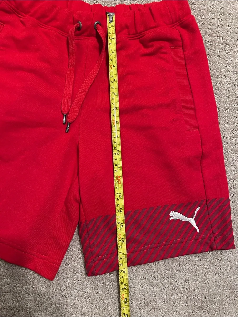 Puma austria soccer